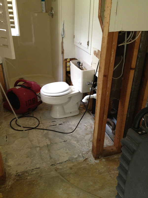 Sewage Backup