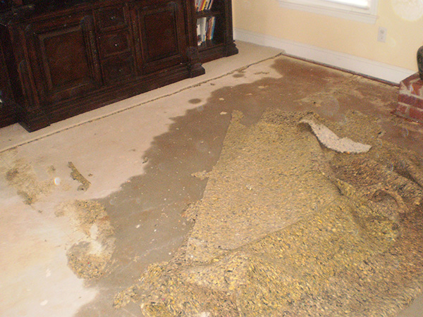 Water Damage Underway